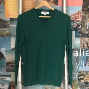Extra Fine Merino Wool V-Neck Sweater